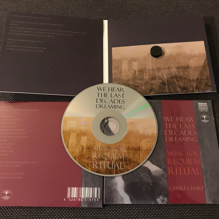 Artwrok de l'album We hear the last decades dreaming de Chari Chari