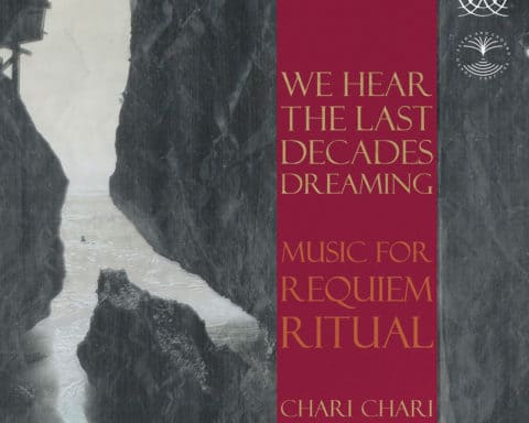 Artwrok de l'album We hear the last decades dreaming de Chari Chari
