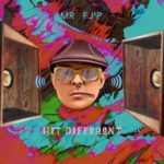 Artwork cover de l'album Hit Different de Mr Flip