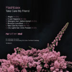 Artwork cover de l'album Take Care My Friend par Flashbaxx