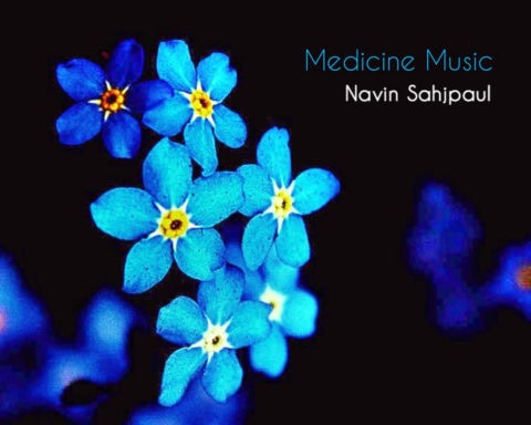 Medecine Music par Navin Sahjpaul