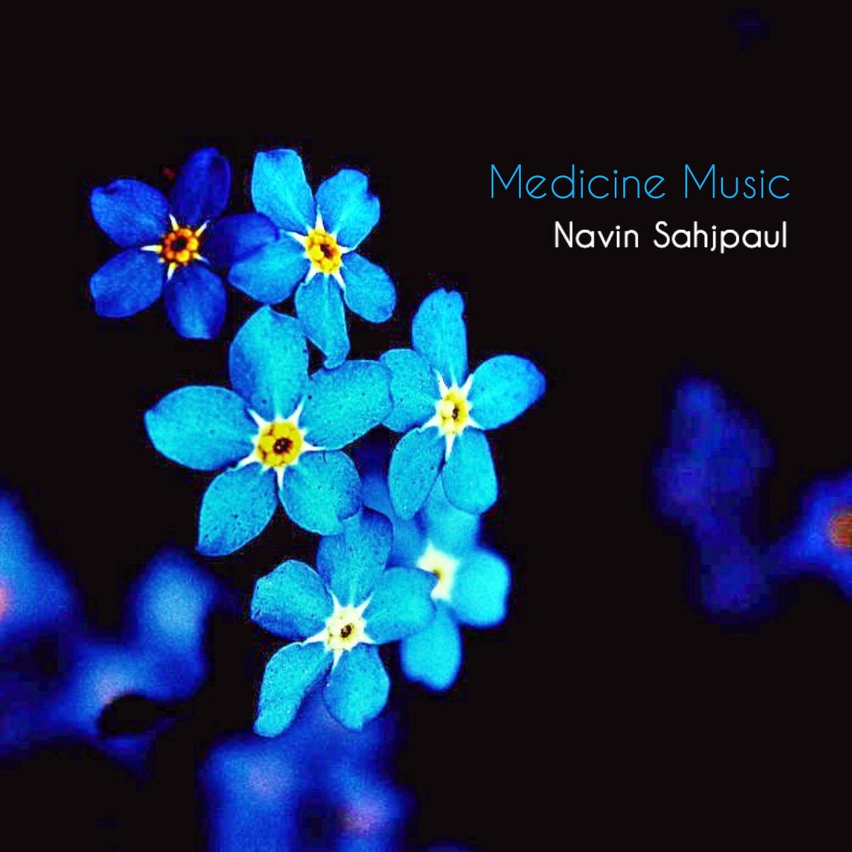 Medecine Music par Navin Sahjpaul