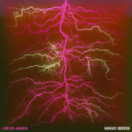 L'album Magic Seeds