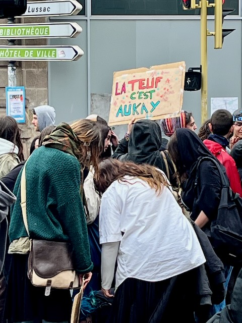 Mobilisation pour les Free-Party