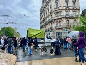 Mobilisation pour les Free-Party