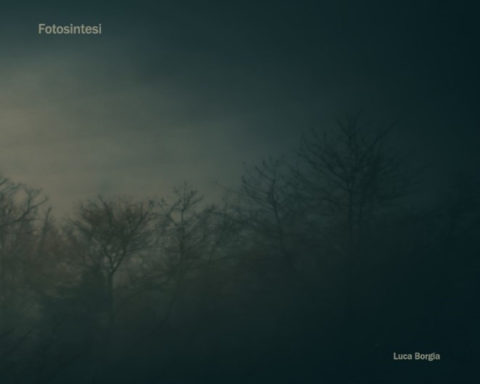 LP Fotosintesi
