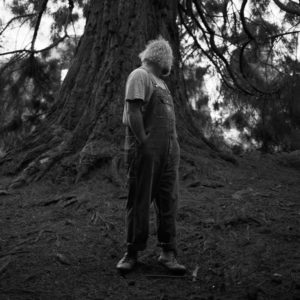 Photo Paul Hillery