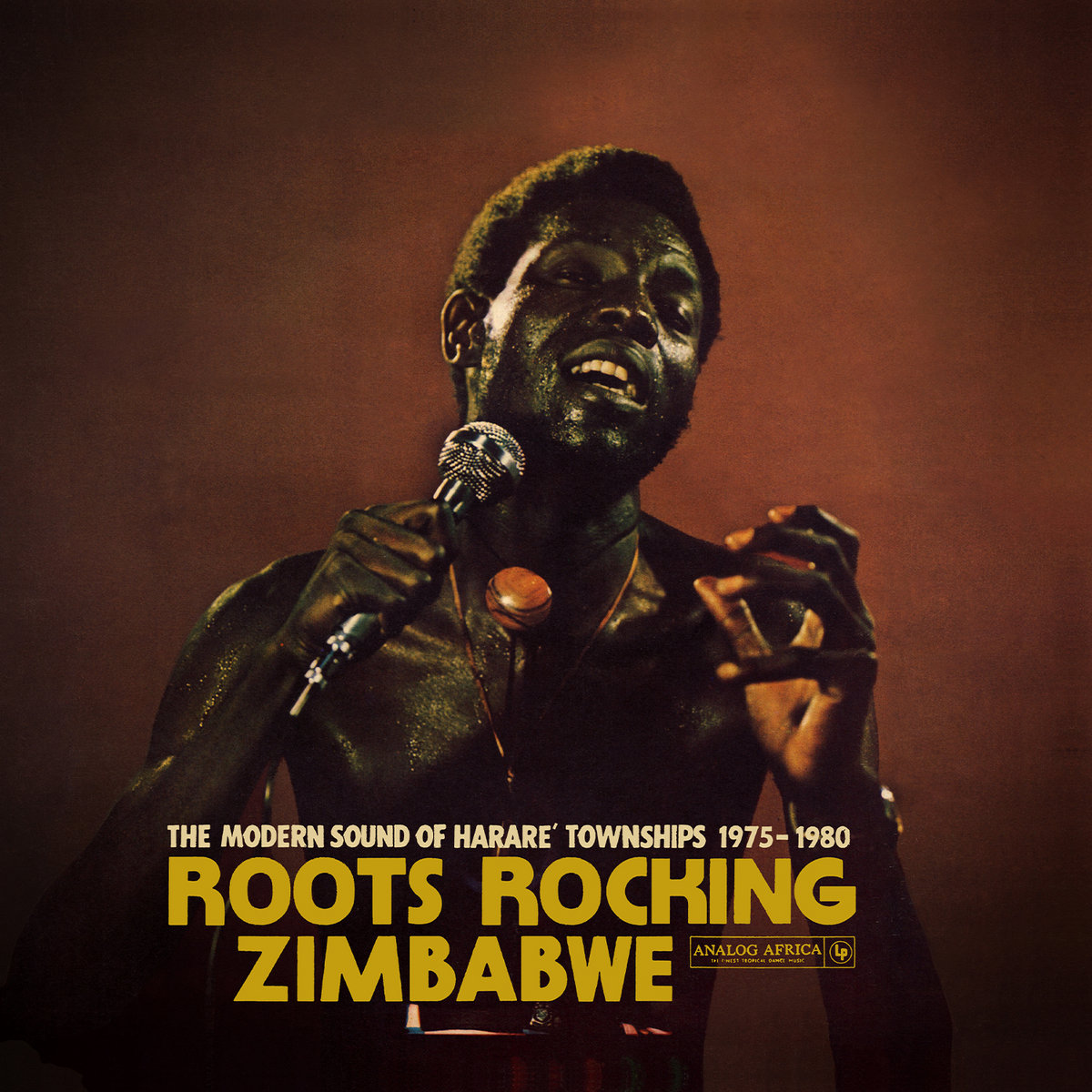 Roots Rocking Zimbabwe