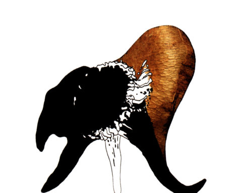 LP Black Antlers