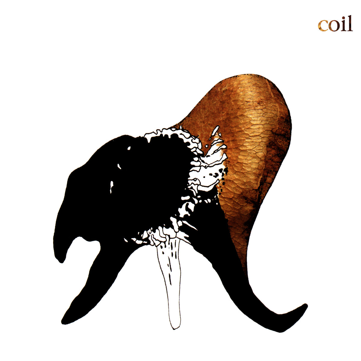 LP Black Antlers
