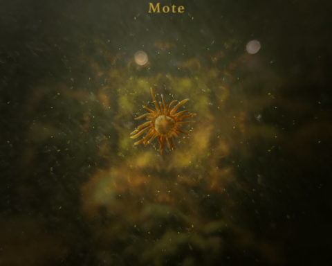 LP Mote