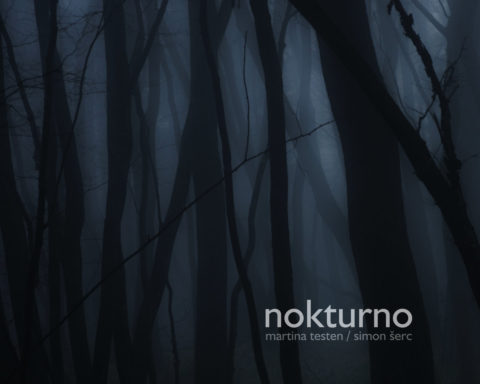LP Nokturno