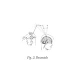 Compilation Parantele 2