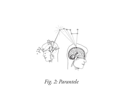 Compilation Parantele 2