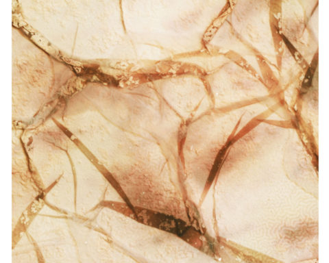 LP Tectonic Particles