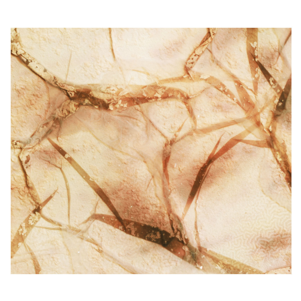 LP Tectonic Particles