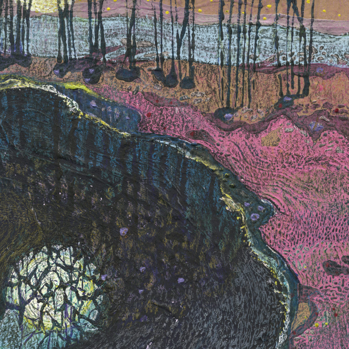 Pochette L'ineluctable pulsation du temps