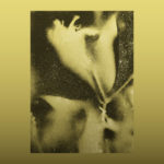 LP 1983
