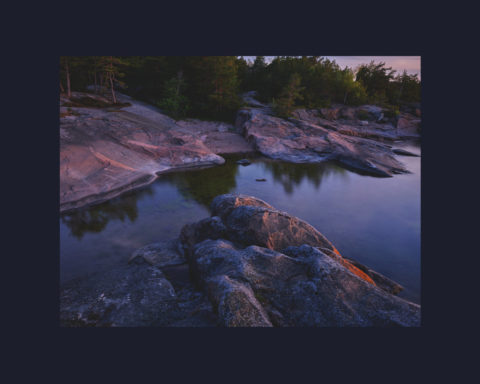 LP Momentary Movements Of Landscapes