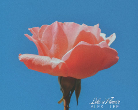 LP Like A Flower
