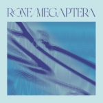 LP Megaptera