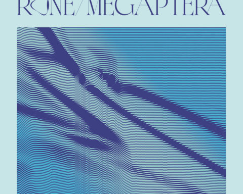 LP Megaptera