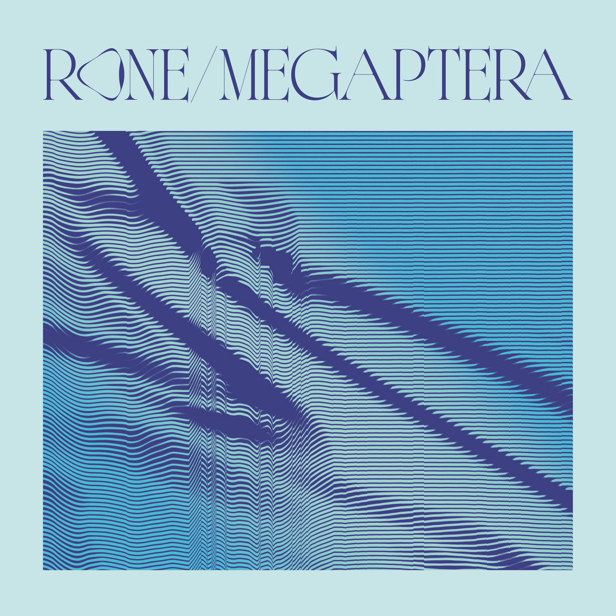 LP Megaptera