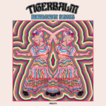 LP Bubblegum Discos