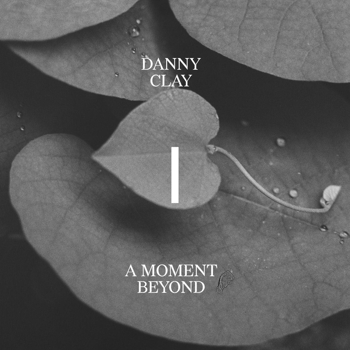 LP A Moment Beyond
