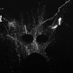 LP Rhythmique Nocturne