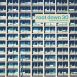 LP ROOT DOWN 30