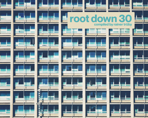 LP ROOT DOWN 30