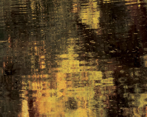 LP The Will of Tongues